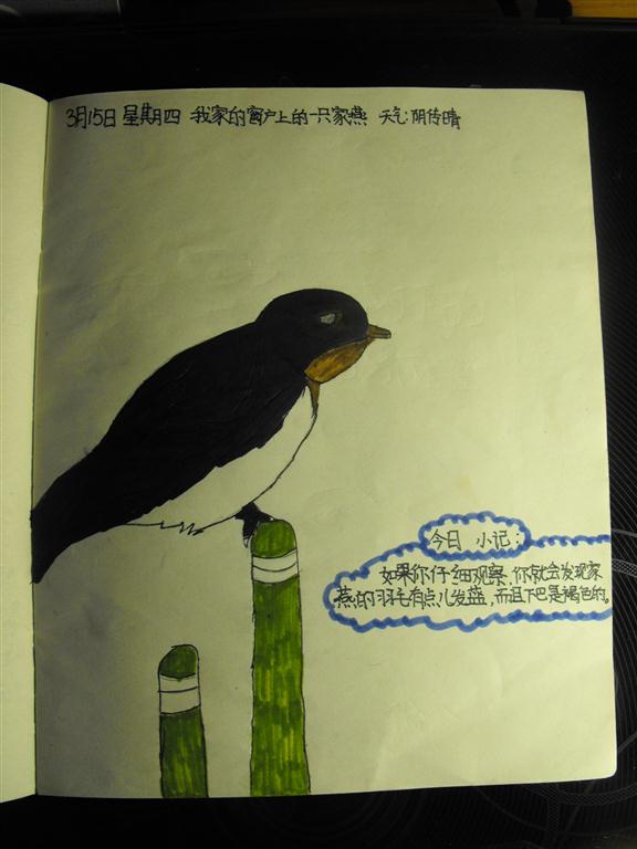 上传的图片