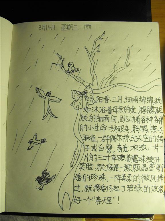 上传的图片
