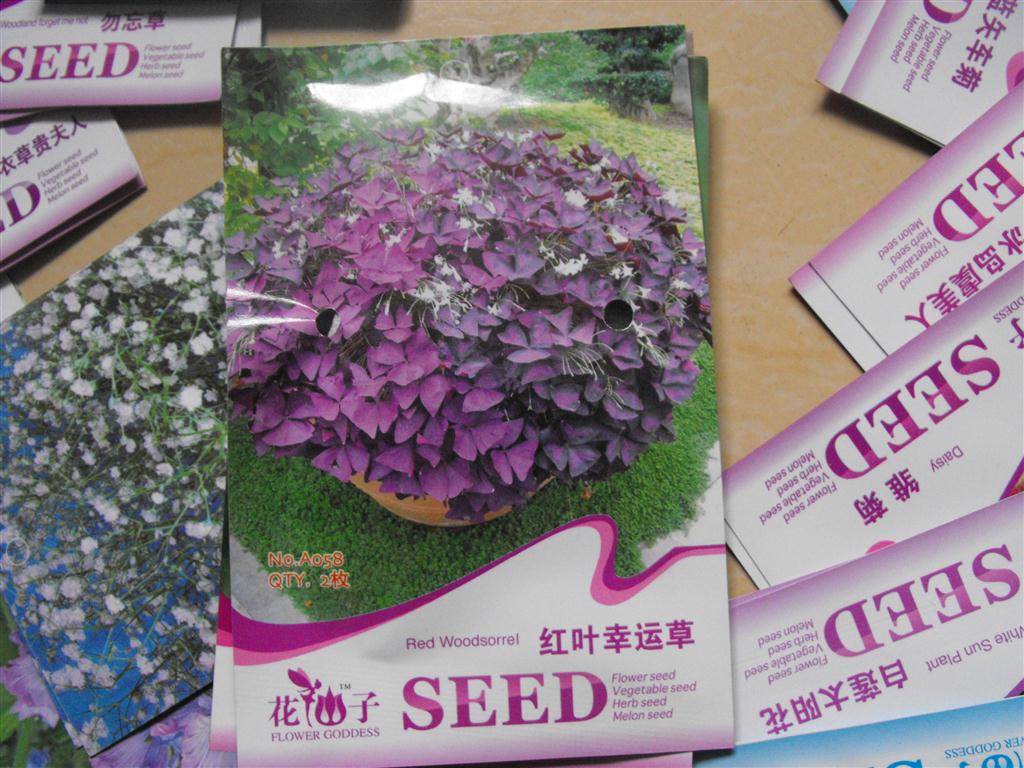 上传的图片