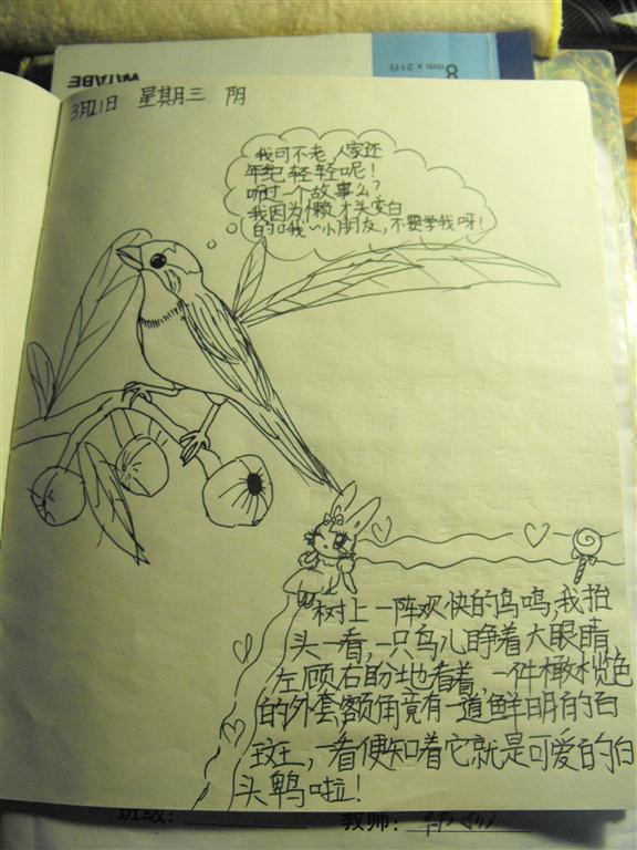 上传的图片