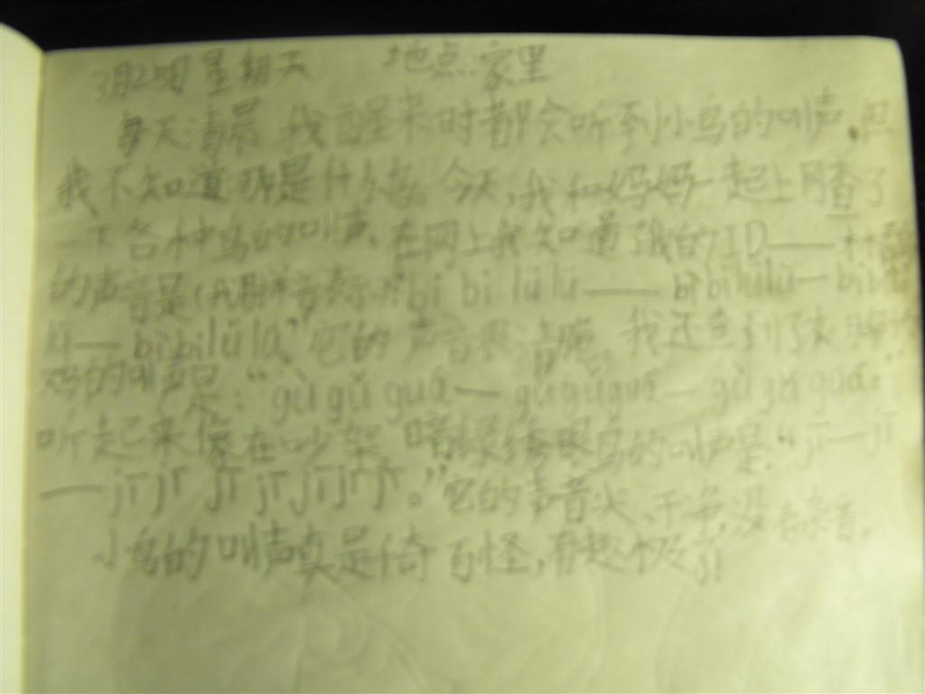 上传的图片