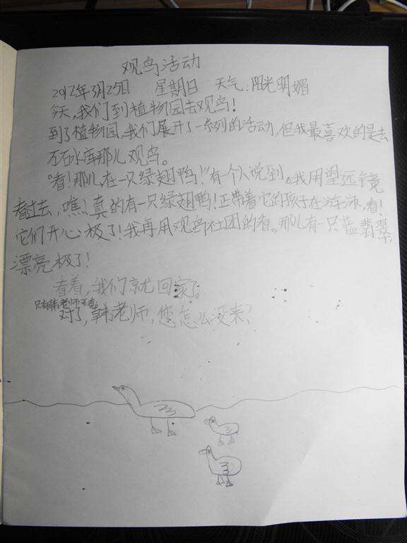 上传的图片