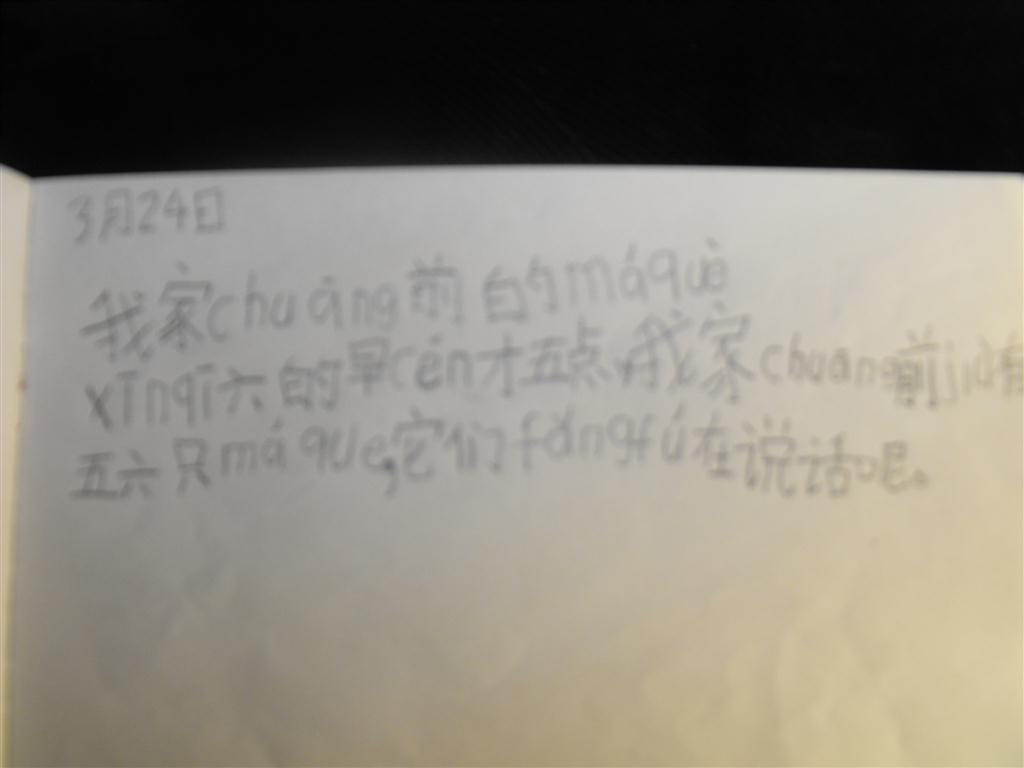 上传的图片