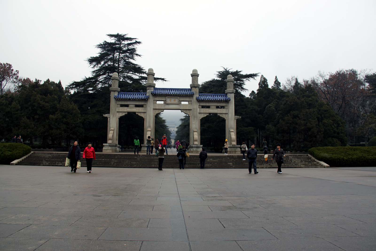 上传的图片