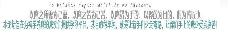 上传的图片