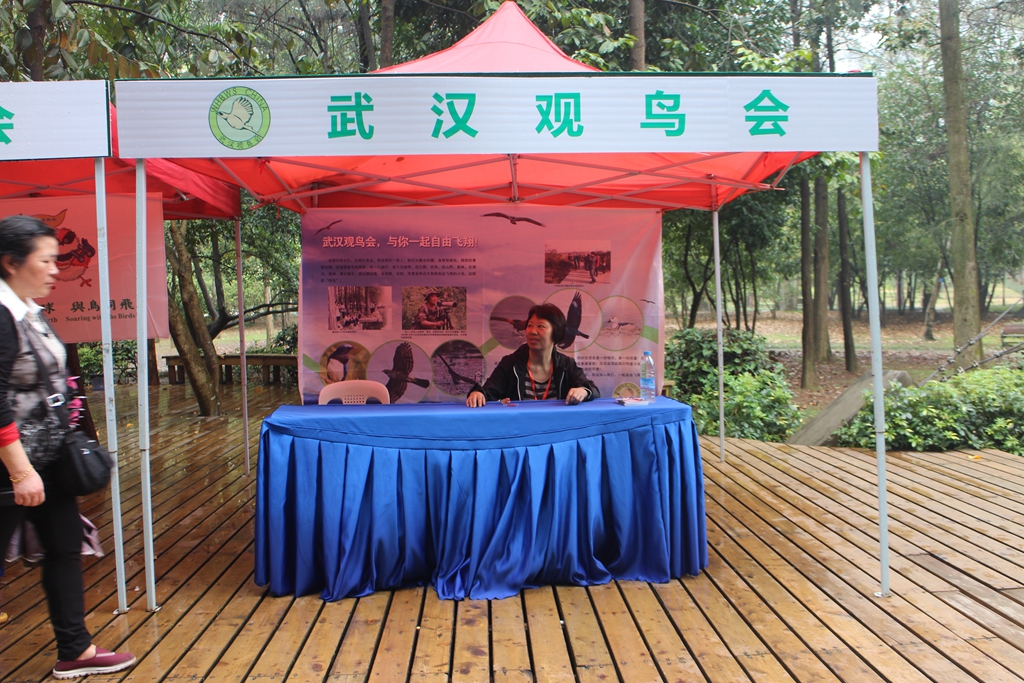 上传的图片