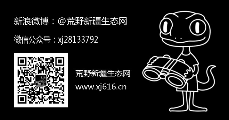 上传的图片