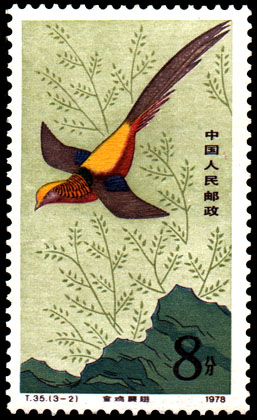 上传的图片