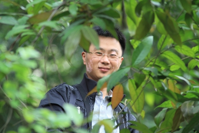 上传的图片