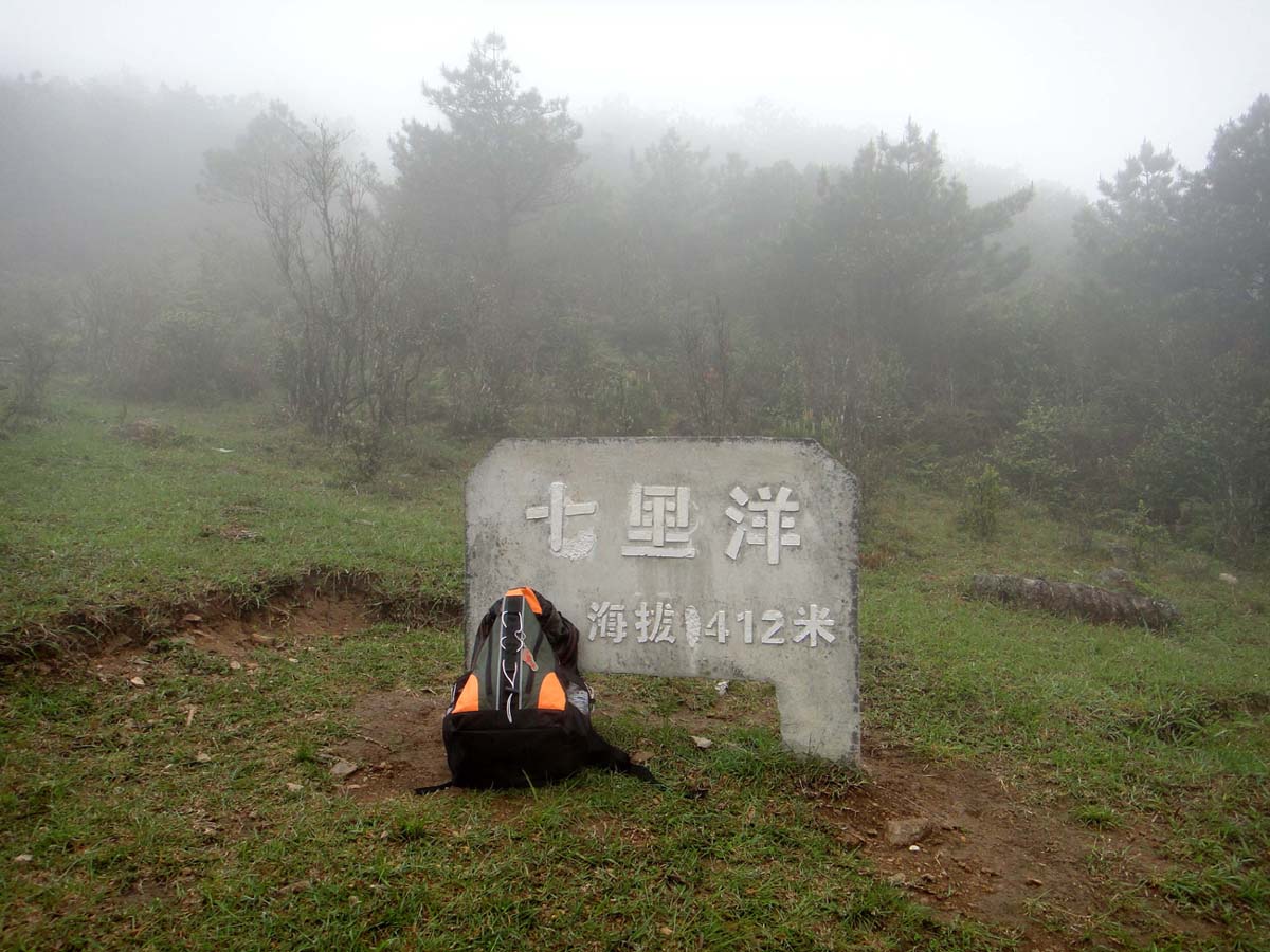 上传的图片