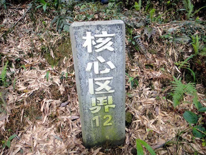上传的图片