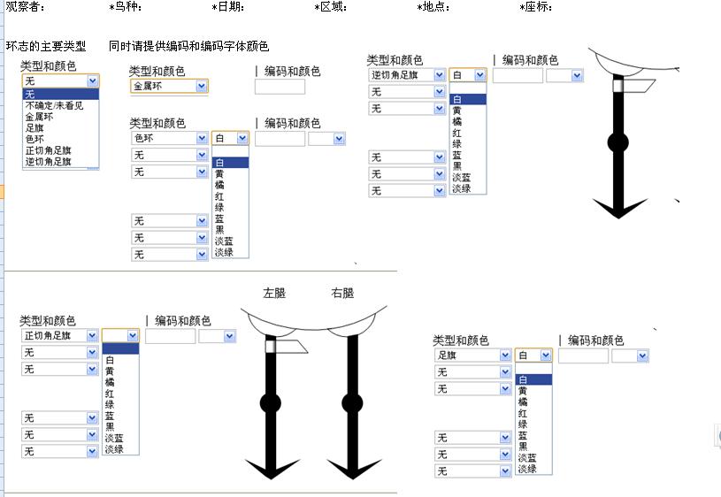 上传的图片