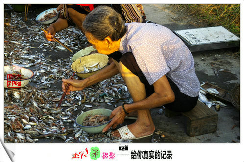 上传的图片