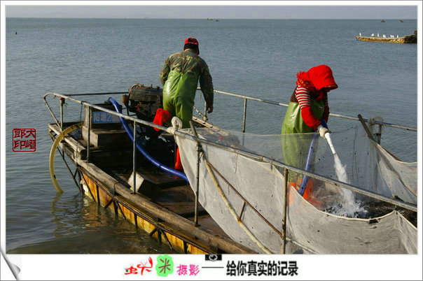 上传的图片