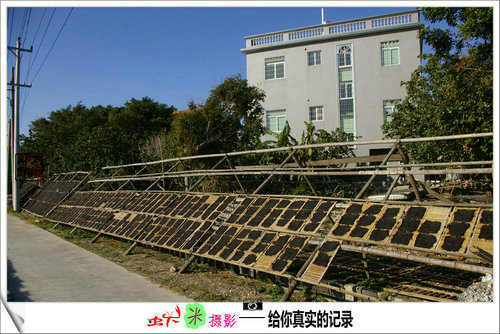 上传的图片