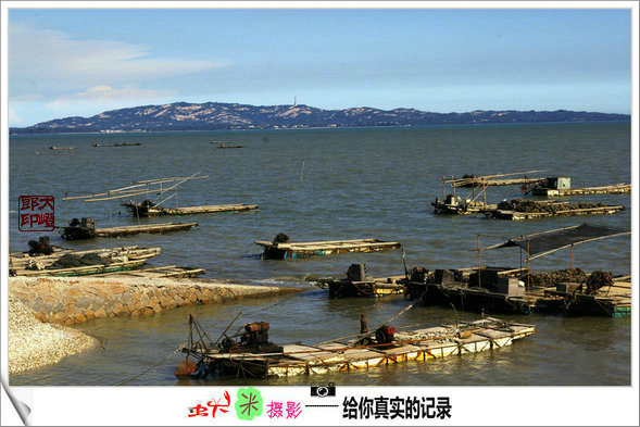 上传的图片