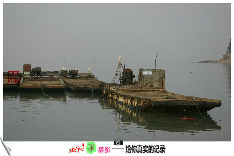 上传的图片