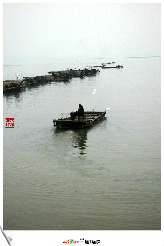 上传的图片