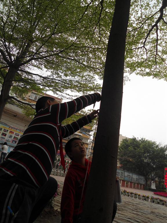 上传的图片