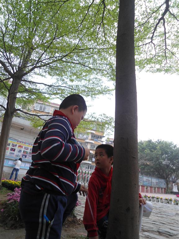 上传的图片