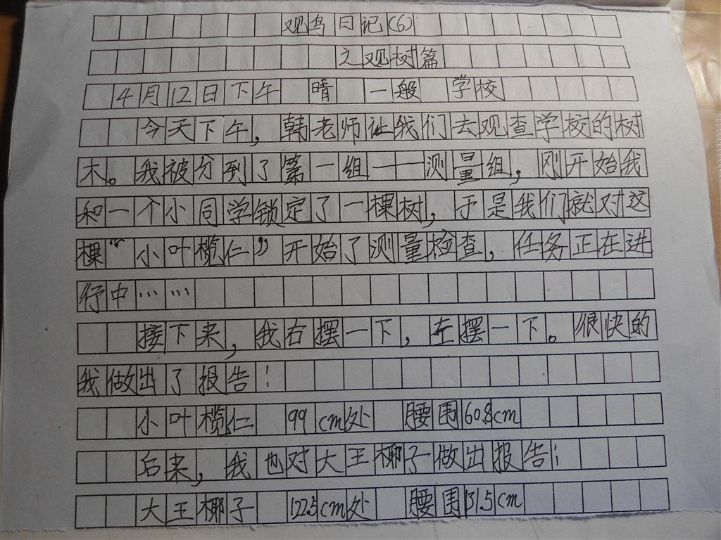 上传的图片