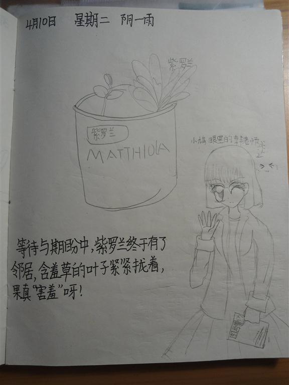 上传的图片