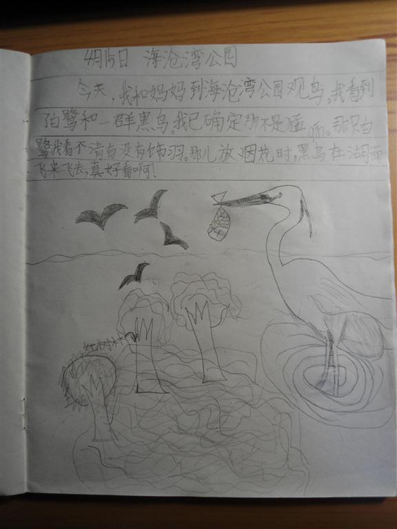 上传的图片