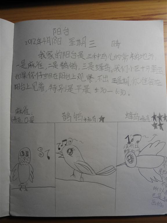 上传的图片