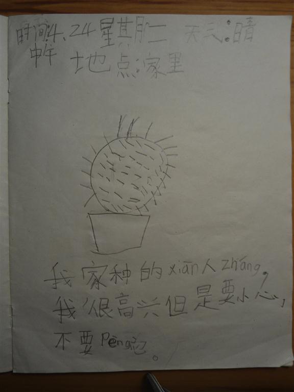上传的图片