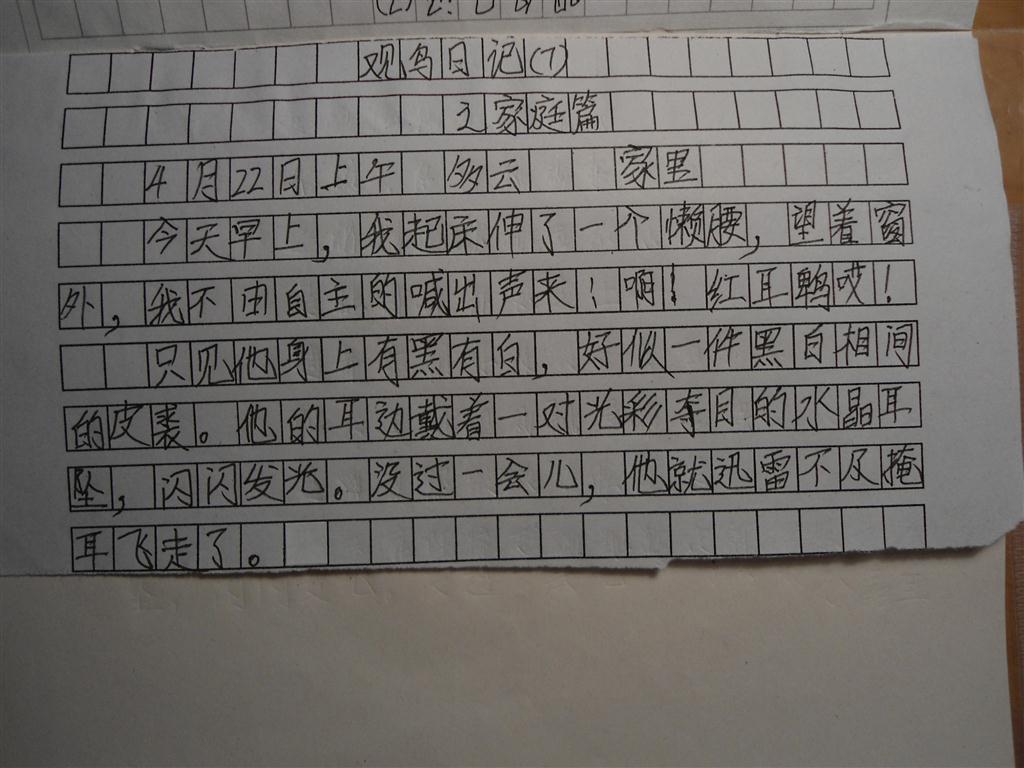 上传的图片