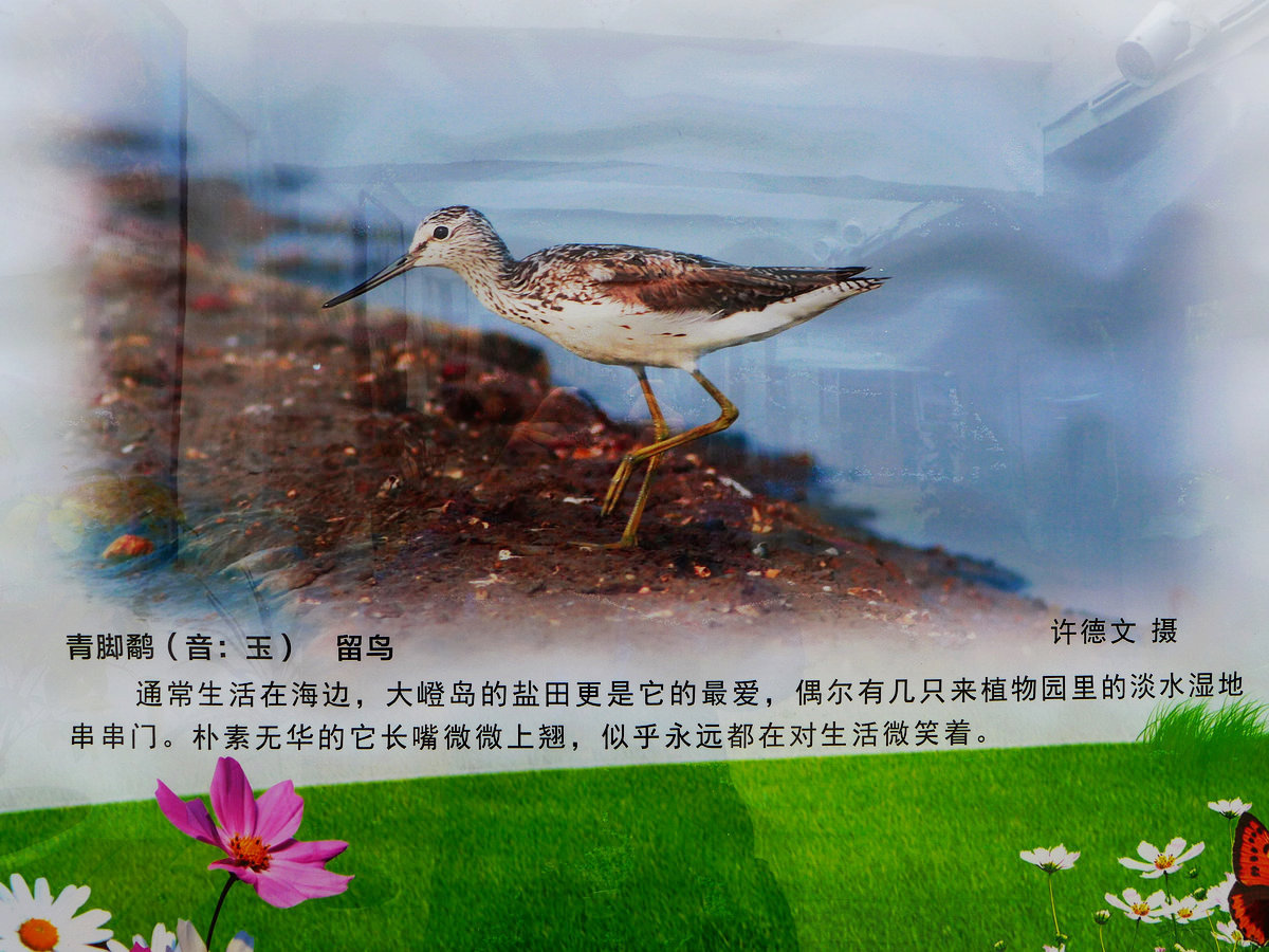 上传的图片