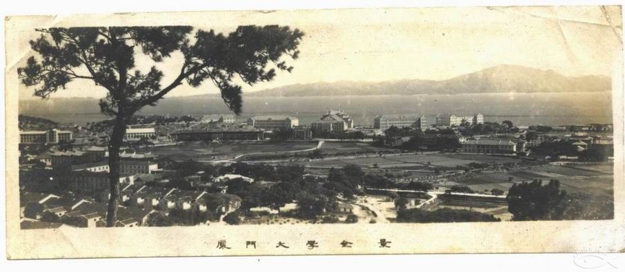 上传的图片