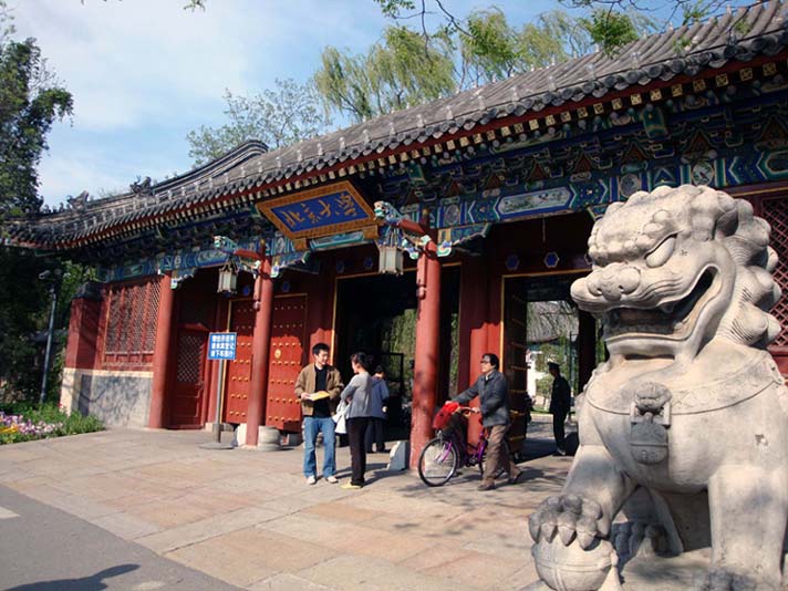 上传的图片