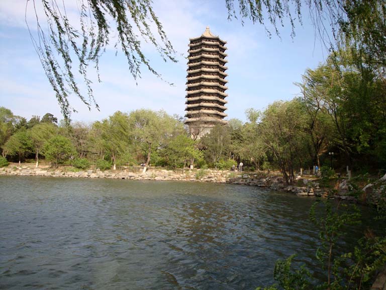 上传的图片