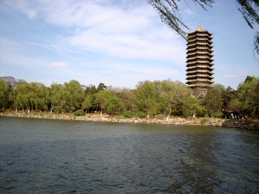 上传的图片