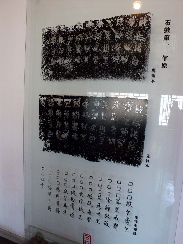 上传的图片