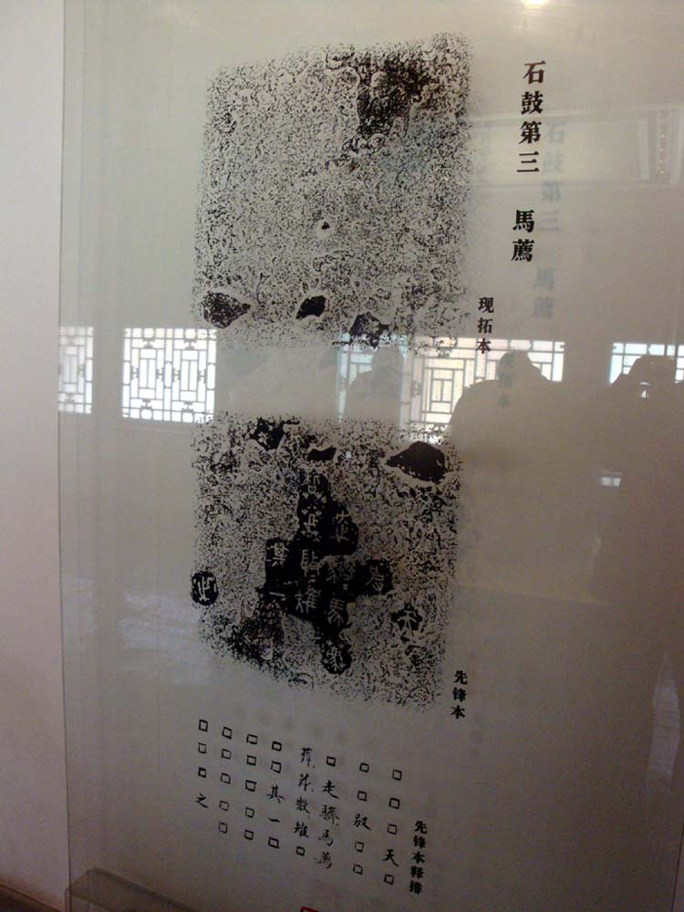 上传的图片