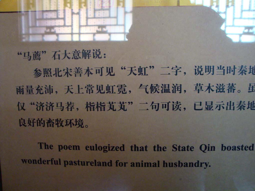 上传的图片