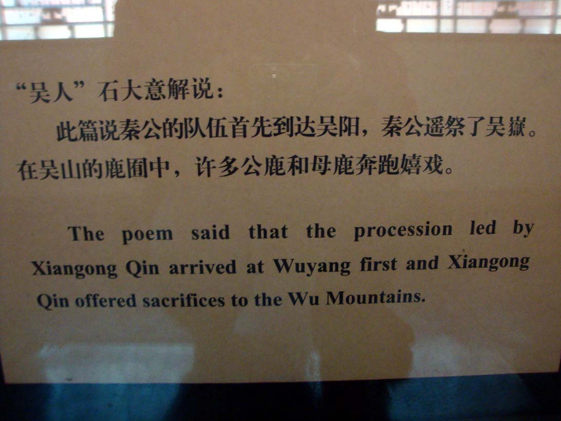 上传的图片