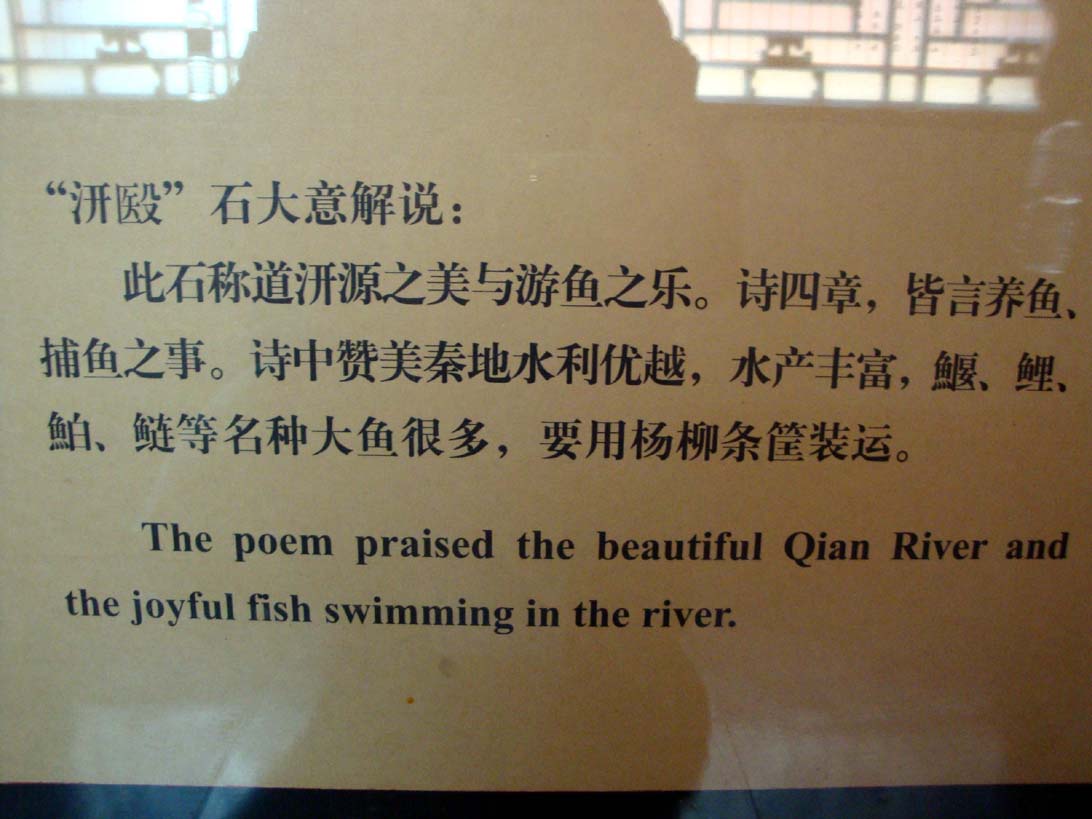 上传的图片