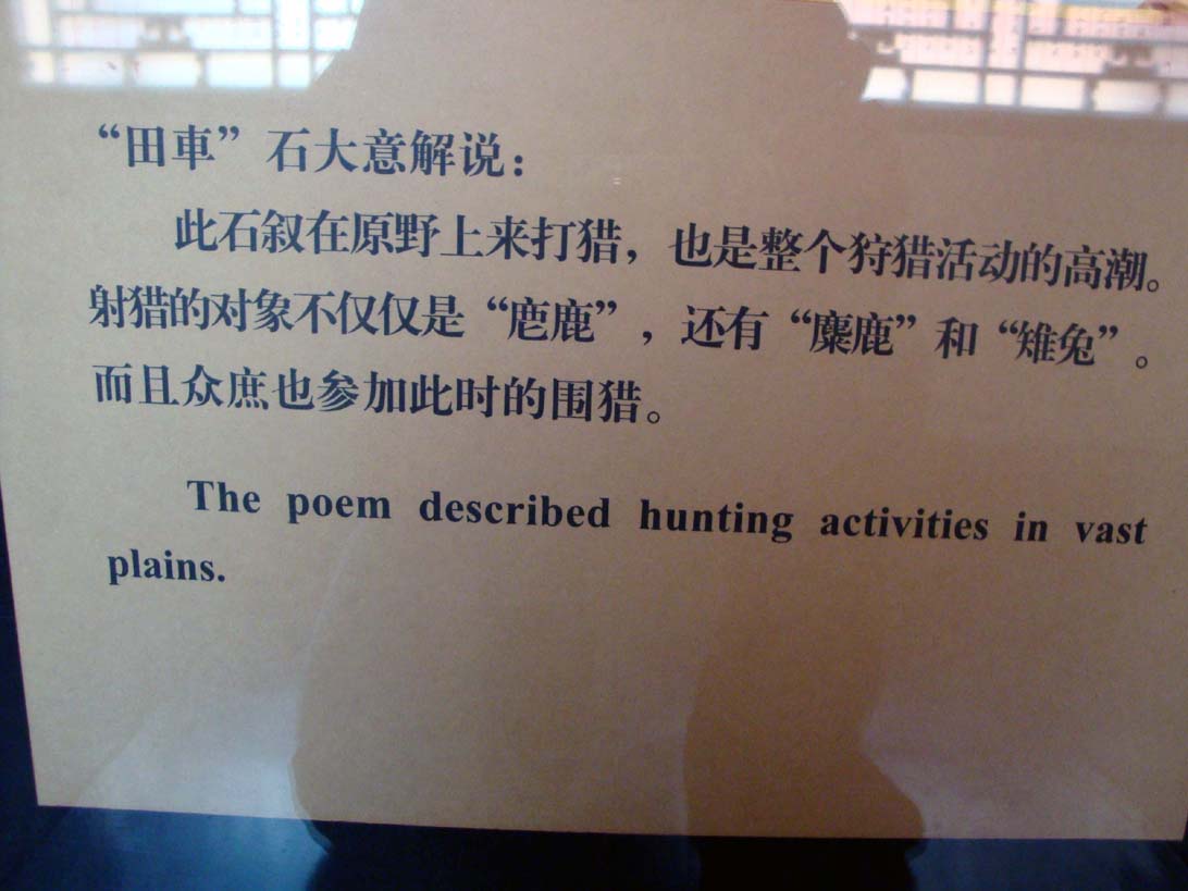 上传的图片