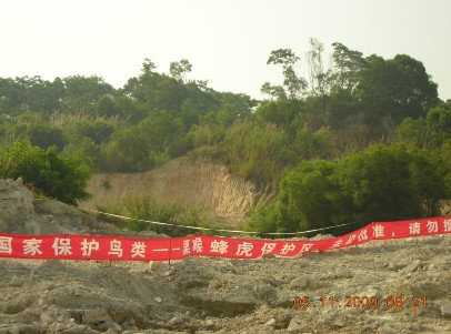 上传的图片