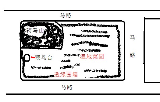 上传的图片