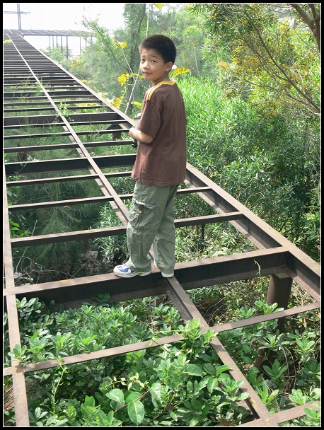 上传的图片
