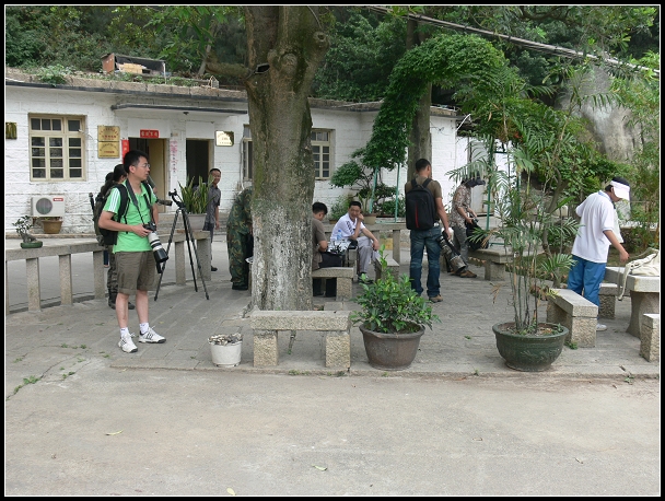 上传的图片