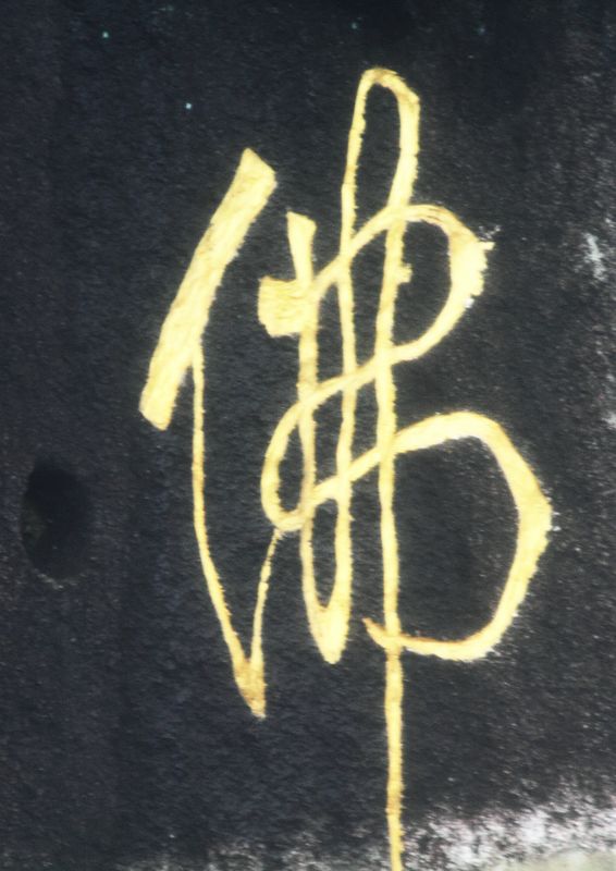上传的图片