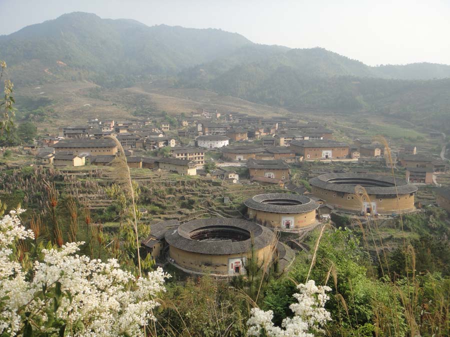 上传的图片