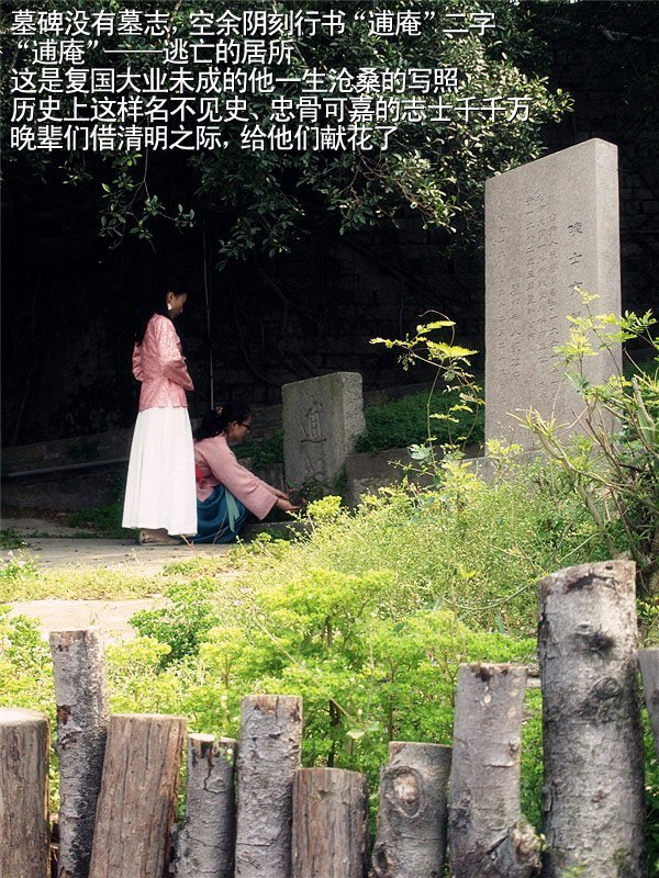 上传的图片