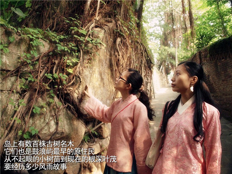 上传的图片