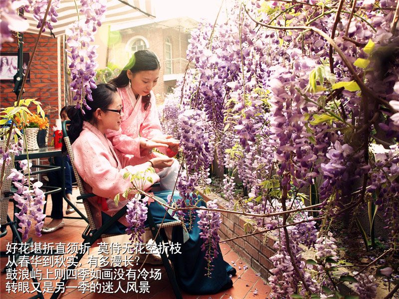 上传的图片